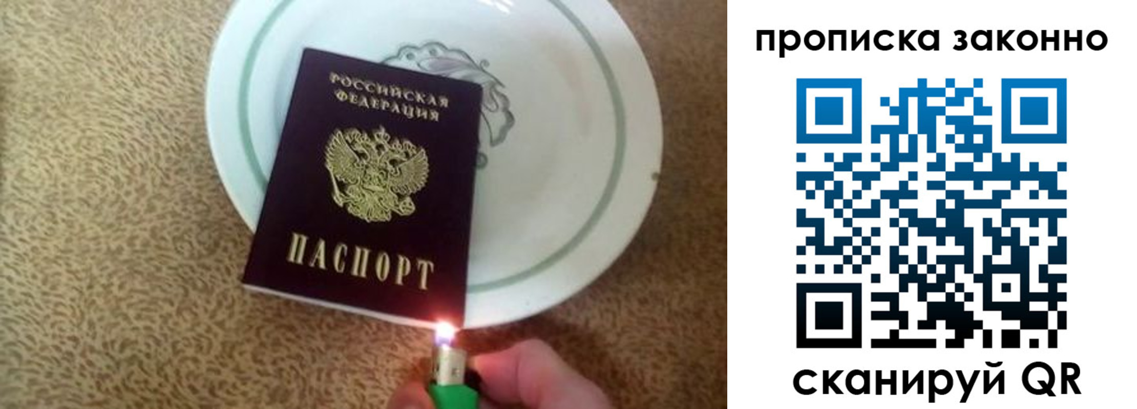 прописка поиск в Тайшете